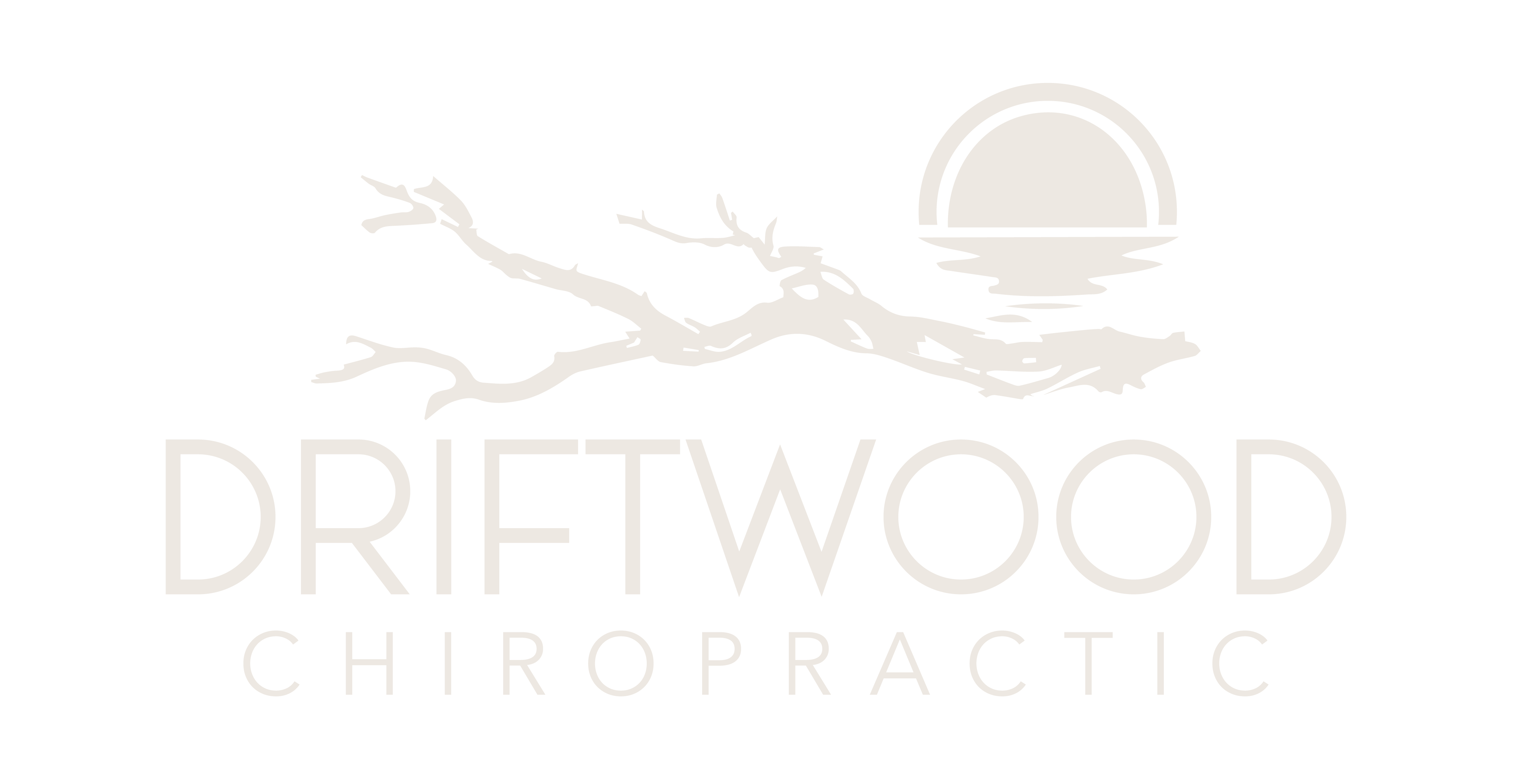 Driftwood chiropractic savannah ga 31410